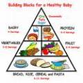2nd Pregnancy Nutrition - Pregnancy Nutrition articles